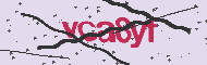 Captcha認証コード